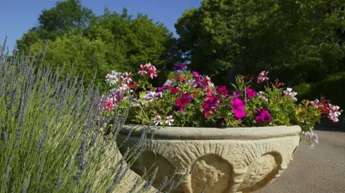 Camping Domaine de la Paille Basse - Soulliac, Dordogne, Frankrijk