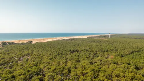 Camping Le Vieux Port - Messanges, Nouvelle-Aquitaine, Zuid-Frankrijk