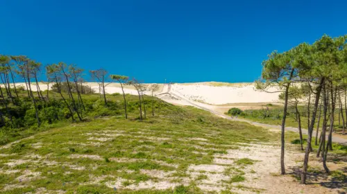 Camping Le Vieux Port - Messanges, Nouvelle-Aquitaine, Zuid-Frankrijk