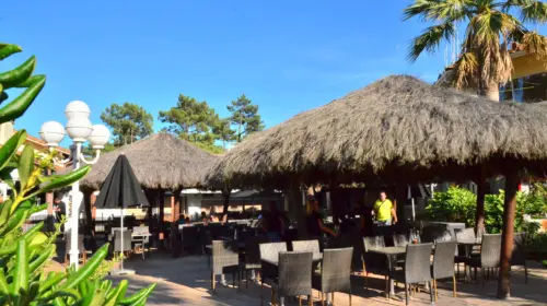 Camping Le Vieux Port - Messanges, Nouvelle-Aquitaine, Zuid-Frankrijk