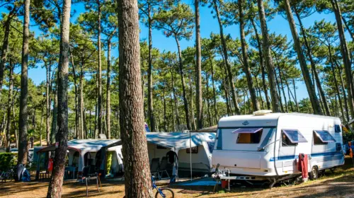 Camping Le Vieux Port - Messanges, Nouvelle-Aquitaine, Zuid-Frankrijk