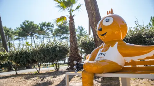 Camping Le Vieux Port - Messanges, Nouvelle-Aquitaine, Zuid-Frankrijk