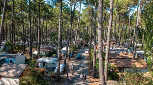 Camping Le Vieux Port - Messanges, Nouvelle-Aquitaine, Zuid-Frankrijk