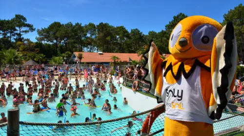 Camping Le Vieux Port - Messanges, Nouvelle-Aquitaine, Zuid-Frankrijk