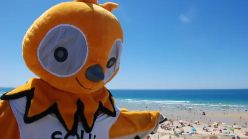 Camping Le Vieux Port - Messanges, Nouvelle-Aquitaine, Zuid-Frankrijk