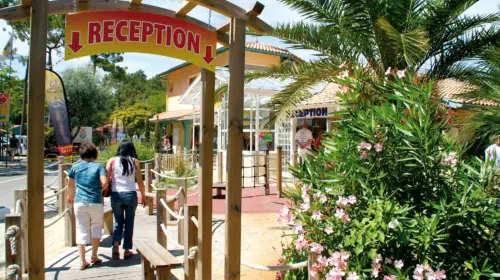 Camping Le Vieux Port - Messanges, Nouvelle-Aquitaine, Zuid-Frankrijk